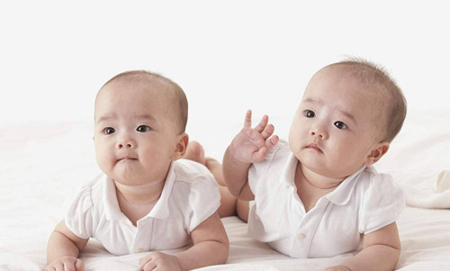 去泰国做试管婴儿双胞胎价格