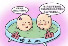 做泰国试管婴儿取多少卵子成功率最高?