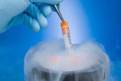 泰国试管婴儿移植鲜胚失败后多久可以移植冻胚？