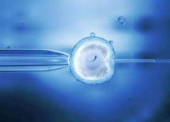 做泰国试管婴儿为什么提倡单囊胚移植?原因在这里