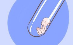 泰国试管婴儿胚胎培养过程大揭秘