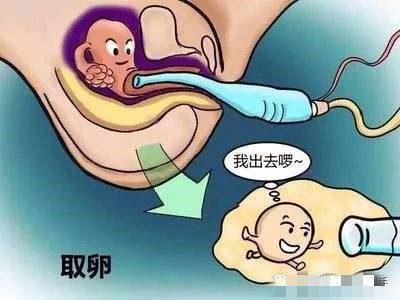 做泰国试管婴儿取卵过程怎么麻醉?方式有几种?