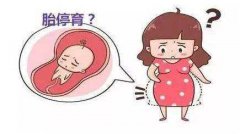 泰国试管婴儿囊胚移植后胚胎停育的原因有哪些