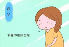 孕道:多囊卵巢借卵试管生子需要注意什么