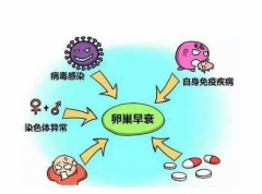 孕道试管解读：卵巢早衰需要做试管婴儿吗