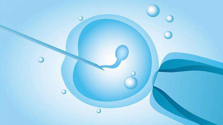HY孕道试管婴儿长方案流程和时间